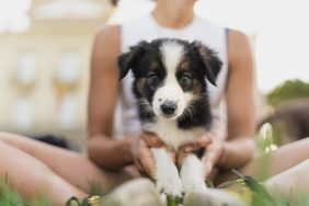 Woman holding and adopting a puppy