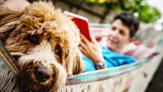 dog with woman in hammock