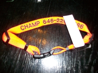 champs collar