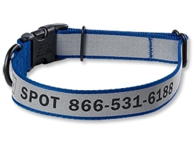 reflective collar