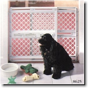 Petgate_from_northstate_thumb