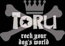 Toru