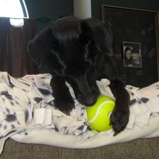 Jade & Orbee Tennis Ball