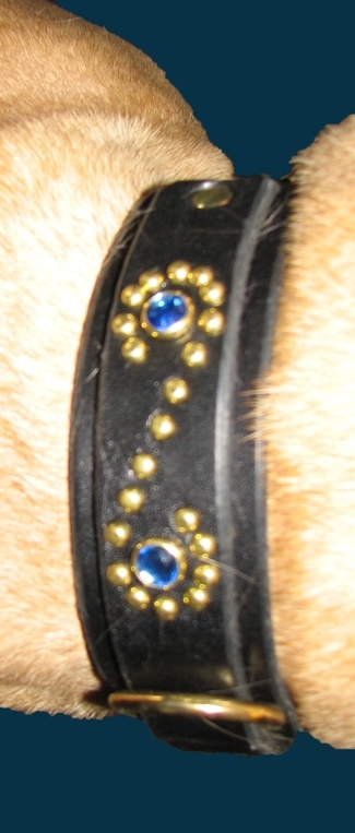 The Paco Collar Namid design