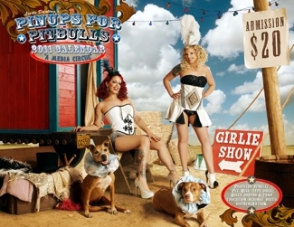 Little Darling's Pinups for Pitbulls Calendar at Boutique Fancy Fluff