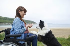 woman in wheelchair training dog to come