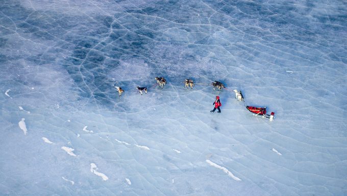 sled dogs on frozen lake