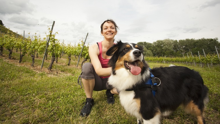 Caucasian woman petting dog in vineyard