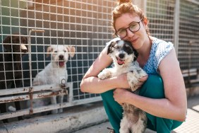 Young adult woman working and playing with dogs in animal shelter