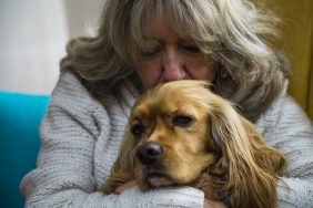 older woman kissing senior cocker spaniel dog