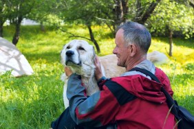 Happy traveler plays with large shepherd dog next to the tent on a meadow amid lush grass, field flowers and green trees on a wonderful sunny day. Travel in a spring mountains.