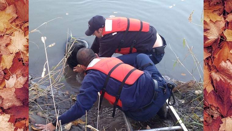 firefighters-rescue-dog-mud2