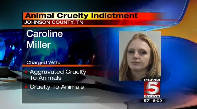 15-counts-animal-abuse
