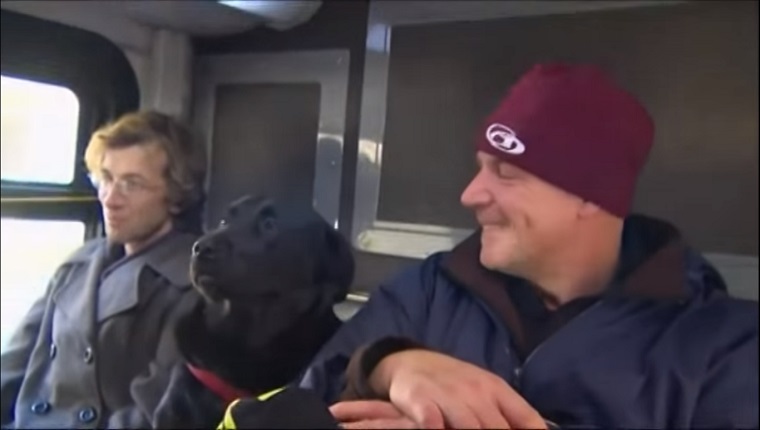 Eclipse rides the bus between two human travelers.