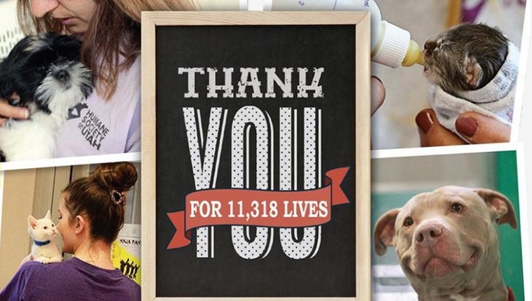 A collage of animals being cared for with the words "Thank You For 11,318 Lives" in the foreground.