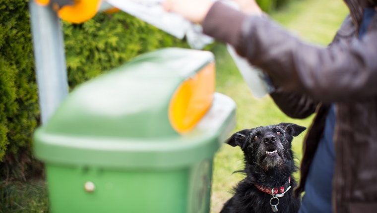 A dog sits and waits while his owner gets bags from a dispenser next to a trash can.