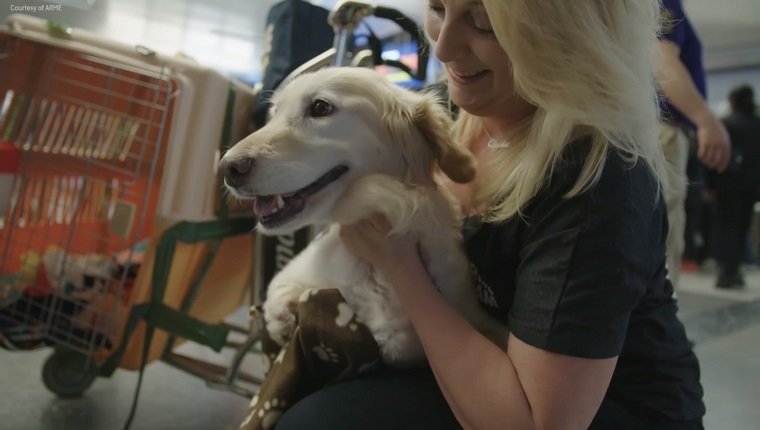 Chi Chi's owner holds her.