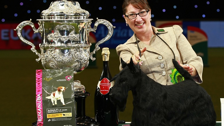 The winner of 2015 Best in Show stands next to a large silver cup trophy.