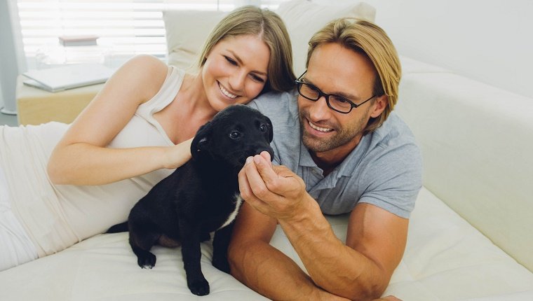 A couple sits on a bed with a puppy. Everything in the room is white except the dog. It's kind of creepy.