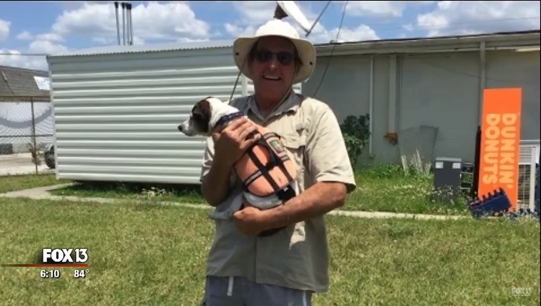 The owner holds his dog on land.