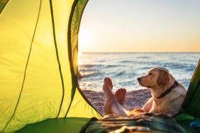 Camping with dog