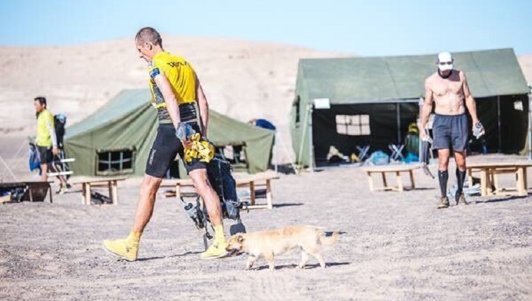 Gobi follows Leonard at camp