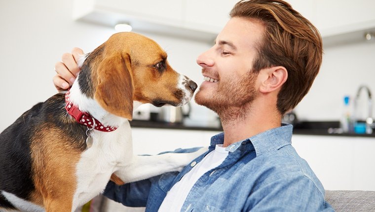 Young Man Playing With Pet Dog At Home