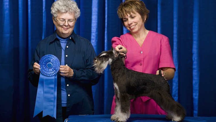 Owner, judge and dog with first place ribbon