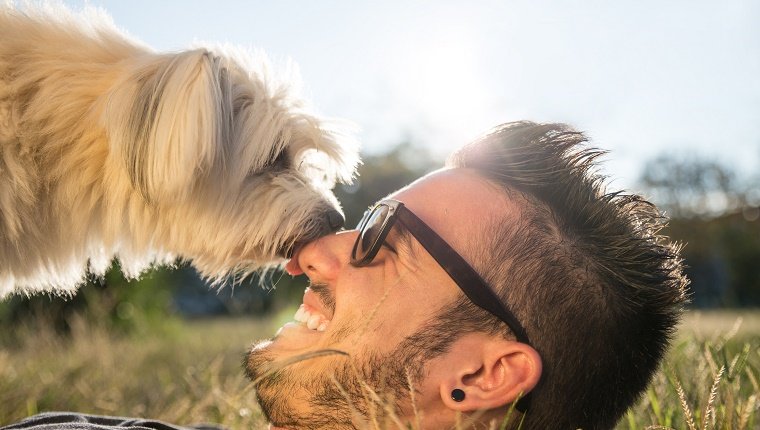 Dog and his owner - Cool dog and young man having fun in a park - Concepts of friendship,pets,togetherness