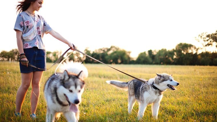 Young woman with dogs