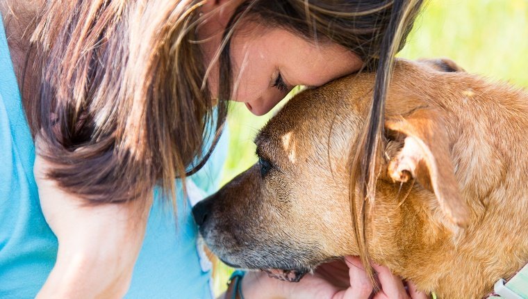 Senior dog consoles a young woman as they share a quiet moment of understanding