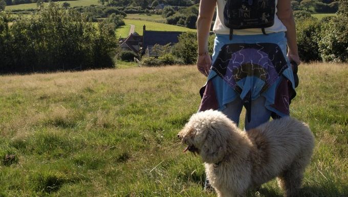 dog on hike