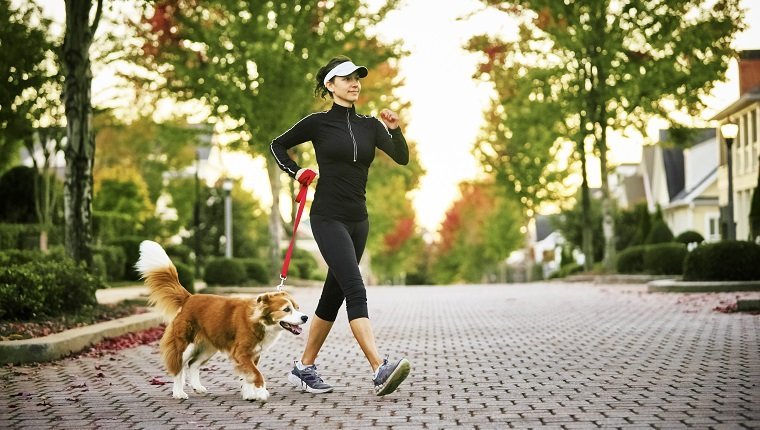 Young woman walking her don in a neighborhood with houses and trees in the background.