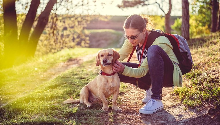 Woman picking a tick on dog fur