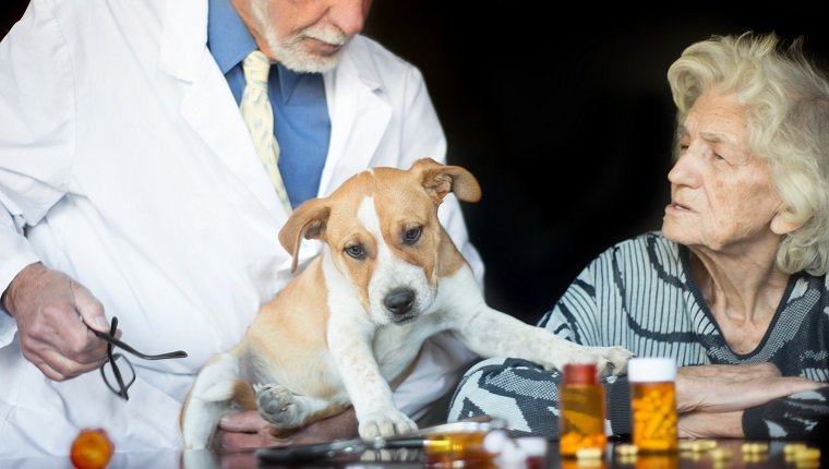 Pet therapy has an amazing impact on quality of liefe of a senior woman in assisted living home