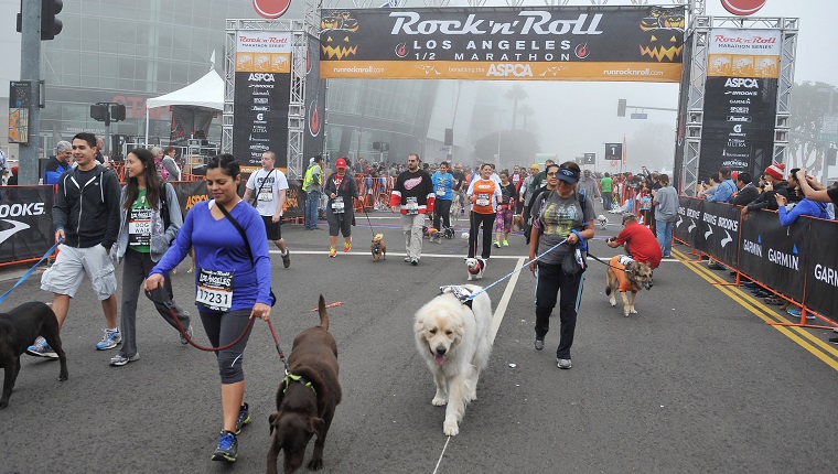 LOS ANGELES, CA - OCTOBER 27: Atmosphere at the Rock 'n' Roll Los Angeles Halloween Half-Marathon benefitting The ASPCA at L.A. LIVE on October 27, 2013 in Los Angeles, California. (Photo by Angela Weiss/Getty Images for ASPCA)