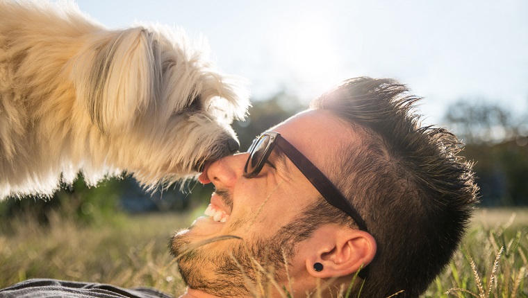 Dog and his owner - Cool dog and young man having fun in a park - Concepts of friendship,pets,togetherness