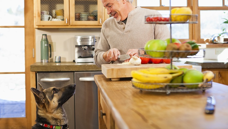 Hispanic man with begging dog in kitchen