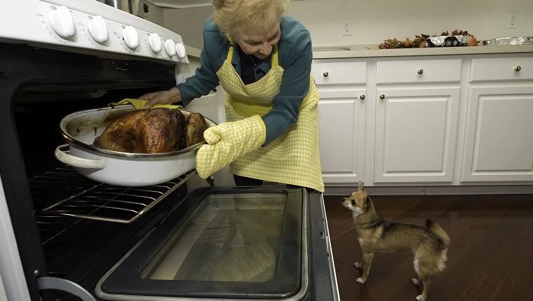 Holiday turkey coming out of the oven with a dog