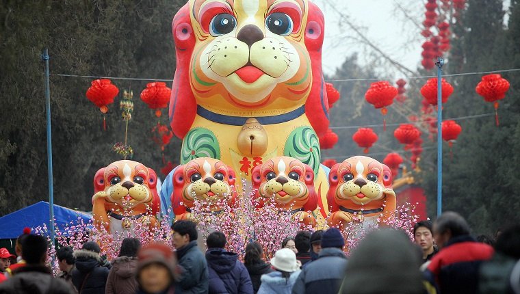 BEIJING, CHINA: A display of dogs greets visitors arriving for the opening of the Ditan (Temple of the Earth) Park temple fair to ring in the Lunar New Year, 28 January 2006 in Beijing. The most important holiday in the Chinese calendar, the Lunar New Year, also known as Spring Festival, begins with the Year of the Dog on 29 January. AFP PHOTO/Frederic J. BROWN (Photo credit should read FREDERIC J. BROWN/AFP/Getty Images)