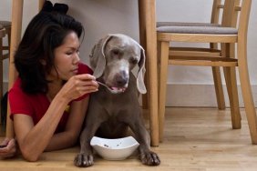 Woman spoon feeding dog under dining table