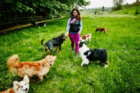 Smiling female dog walker walking group of dogs through park