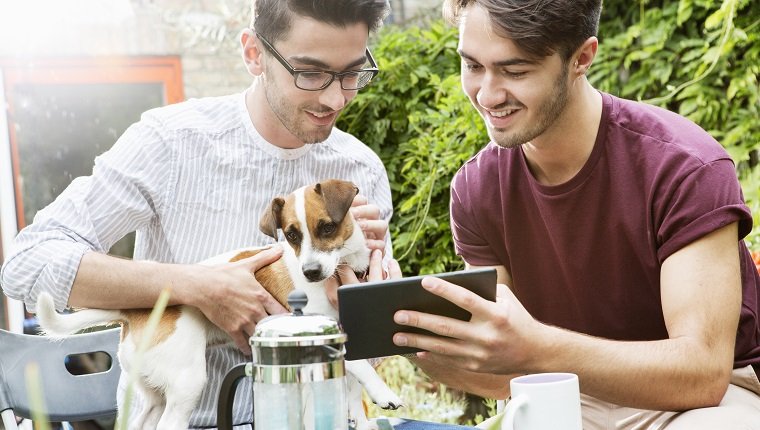 gay couple looking at digital tablet in garden.