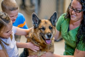 A brother and sister are visiting the pound with a volunteer from the animal shelter and are petting a dog.