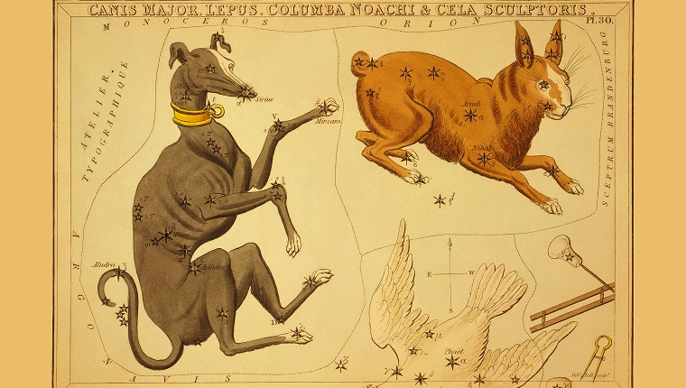 UNITED KINGDOM - CIRCA 1825: Astronomical chart showing a dog, a rabbit, Noah's dove, and sculpting tools forming the constellations. (Photo by Buyenlarge/Getty Images)