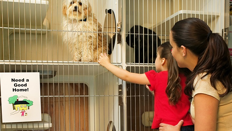 Mother and daughter at animal shelter