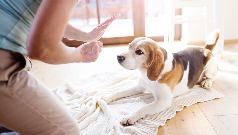 Senior woman with dog inside of her house.