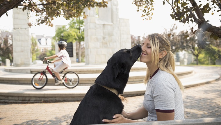 Dog kissing, licking female pet owner in park