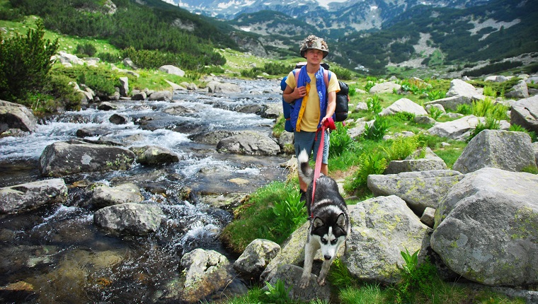 Man leading husky dog in Pirin National Park , Bulgaria