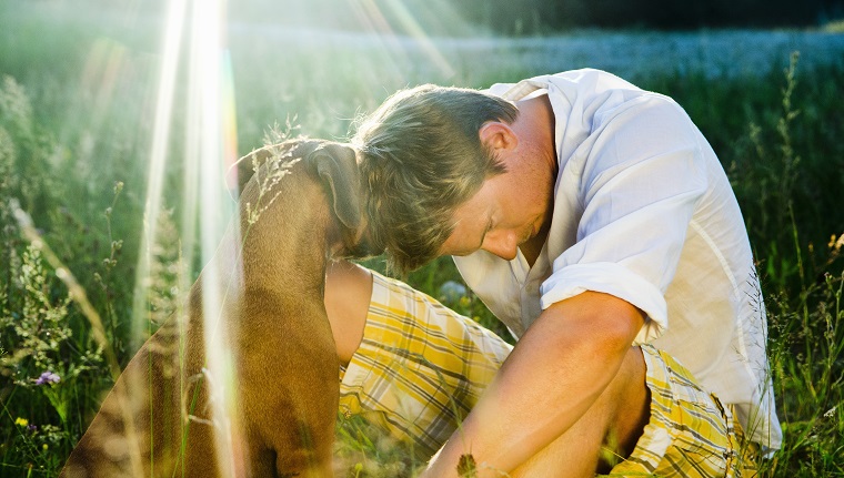 Dog consoling his owner in the countryside near Munich.